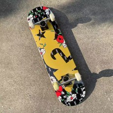 DGK 專業滑板 雙翹滑板 初學 刷街 代步 男女 滑板車, 如圖所示, 1個