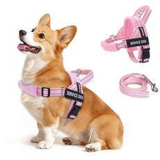 FAYOGOO 소형에서 대형견을 위한 보조견 조끼 조절 가능한 가슴 스트랩이 있는 경량 안내견 하네스 걷기 훈련을 당김 없는 초크 탈출 방지 강아지 하네스, 핑크