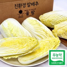 [울팜]친환경 무농약 알배기 알배추 제철 쌈배추, 400g, 2개