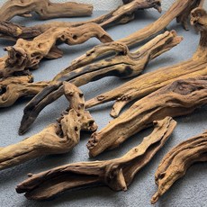 허밍버드 랜덤유목 가지타입 뿌리타입 잔가지타입 잔뿌리타입, 1개