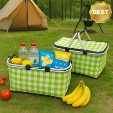 바모즈 보냉백 캠핑용 아이스박스용 대용량 휴대용 쿨러백 30L, 에코트로닉 그린, 1개