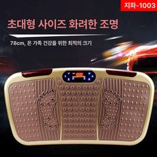 진동 운동 기구 바디 보드 쉐이핑 덜덜이 쉐이크 마사지 헬스장, 골드 스마트 러닝 300w 78cm 1단계, 기본 모델명/품번