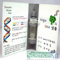 식물 세포 dna 추출 키트 초등 중등 과학 dna 추출 실험 키트 학습 플라스틱 샘플 제작 비커