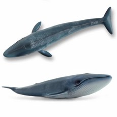 흰수염고래 동물모형 동물피규어