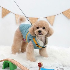 강아지 패딩 방한의류 노마드하네스패딩 블루 패리스독, 1개