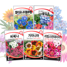 키작은 꽃씨 5종세트 물망초 버베나 가자니아 리빙스턴데이지 캘리포니아블루벨 꽃씨앗 봄꽃 여름꽃 가을꽃 파종 주주씨앗, 1개
