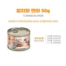 바이캣 고양이 그냥저냥캔, 참치와 연어, 50g, 12개