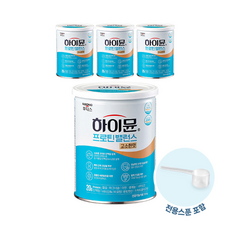 하이뮨 프로틴 밸런스 캔 고소한맛, 304g, 4개