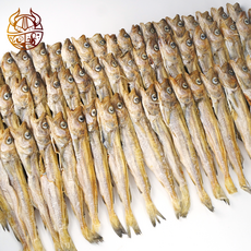 바이킹푸드 대구 줄노가리 80급 (20마리), 1개