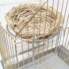 둥지 걸이 접시둥지 항아리둥지 새장 거치대
