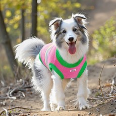 i豆寵物生活館 大狗狗保暖針織毛衣 秋冬款邊牧金毛拉布拉多薩摩耶寵物冬裝, 1個, 寵主子潮流背心【當季新款】,2XL-胸圍53cm【參考體重10.0-