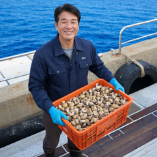 국내 자연산 동해 활 골뱅이 흑고동 흑골뱅이, 1개, 1kg 70미 내외