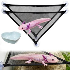 Axolotl 수족관용 해먹 수유 그릇 포함 Axolotl 탱크 액세서리 - 수염 난 드래곤 게코 도마뱀 뱀 187.2L50갤런 탱크 이상용 피더 트레이가 있는 통기, 파란색 먹이 그릇이 있는 수족관용 해먹