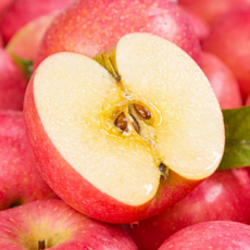 [2일특가] 하루농원 고당도 국내산 부사 사과, 1박스, 5kg 신선포장