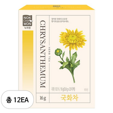 녹차원 국화차 티백, 20개입, 12개, 800mg