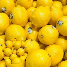 레몬 5과 레몬농축액 레몬수 ksw+750WP