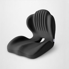 DANGZ 사무실 바른자세 이지힙 등쿠션 허리쿠션 힙업방석, 블랙