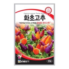 세계종묘 화초고추 씨앗 30립 오색빛깔 관상용 고추씨 종자, 1개