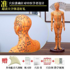 한의원 마네킹 경혈 인형 동상 실습 모델 한방 교육 혈자리마네킹 인체모형, 5. 구리 남성 하드 60cm 확대, 1개