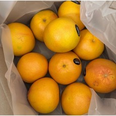 수입산 톡쏘는 달콤쌉싸름 과즙폭발 이스라엘산 레드자몽 중과 대과, 1박스, 2.8kg(중과10개입 개당280g내외)