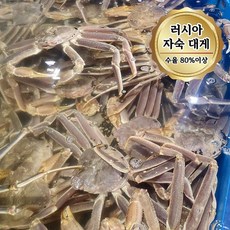 당일자숙 살 꽉찬 러시아대게 A급 대게, 1개, 3kg