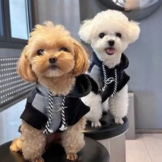 i豆寵物服飾 狗狗連帽衛衣 漸層色 寵物秋冬裝 甜酷風, 1個, 漸變黑連帽衛衣,2XL碼（約6.0-8.0公斤）