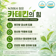 다이어트 야호 고함량 녹차 추출 카테킨으로 시작하는 체지방 케어 무거움은 날려버려 매일 가볍게, 3개, 30정
