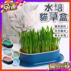 水培貓草栽種盒 寵物用品 DIY種植, 1個, (橢圓款)藍粉色(送小麥種子)