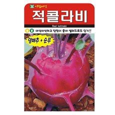 적콜라비 씨앗 레드 콜라비 씨 종자