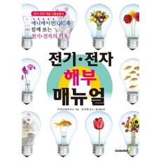 전기 전자 해부 매뉴얼:전기ㆍ전자 개념 사용설명서 / 애니메이션과 함께 보는 전기ㆍ전자의 기초, 골든벨, 이과교육연구소 저