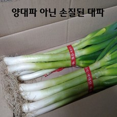 국내산 손질 대파 1단 (2k 내외), 1kg, 1개