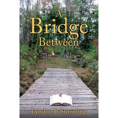(영문도서) A Bridge Between Paperback, Xulon Press, English, 9781662873973