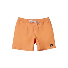 퀵실버 QUIKSILVER 에브리데이 솔리드 17 보드숏 NJF0 QE21BS070NJF