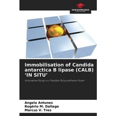 (영문도서)Immobilisation of Candida antarctica B lipase (CALB) 'IN SITU' Paperback, Our Knowledge Publishing, English, 9786209329715