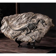 과학실 모형 소품 공룡 화석 지구과학 교보재 놀이 과학교구 과학물품 교구