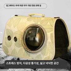 라이프가드삽 애완동물 가방 애완동물가방 동물, 6kg 이하 고양이 4kg 이하 강아지, 1개, 파스토럴 그린 리프
