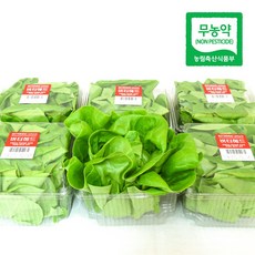 [프리미엄 선물포장] 리피 친환경 버터헤드 유러피안 샐러드 개별포장 쌈채소 상추 산지직송 무농약 당일수확, 110g, 10개