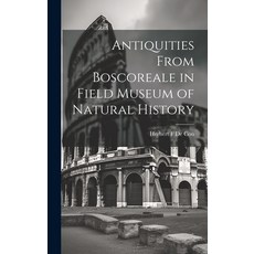 (영문도서) Antiquities From Boscoreale in Field Museum of Natural History Hardcover, Legare Street Press, English, 9781021128430