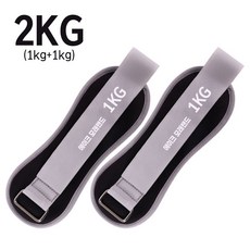 에이크 핏웨이트 모래주머니 2개입 손목 발목 중량밴드, 블랙, 1kg