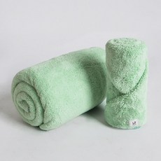 딩동펫 반려동물 부드러운 펫타올 2종 세트, 민트, 1세트