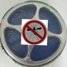 모기향연소기 모기향 모기향케이스 모기향받침대 연소케이스5P, 본상품, 없음