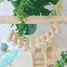 아스티렙 파스텔 게코 도마뱀 사다리 백업 출렁다리 파충류 놀이터, 1개, 기본 네추럴