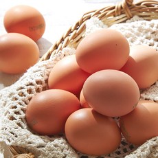 [아이스팩추가]에그트리농장 대란 생계란, 1개, 60구