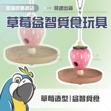 【金瑞成鳥園】草莓益智覓食玩具 鳥類趣味互動玩具, 1個