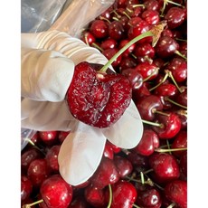 [가격인하] 수입산 고당도 생체리, 1박스, 특대 500g