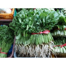 국산 열무 1.5kg 1단x5개 한박스 얼갈이 식자재 도매 업소용 가정용, 1개, 1.5kg묶음 5단