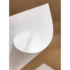 Fion 杜邦紙/諾美紙 防水不易破 10x15.7cm 50張/份 手作勞作服飾吊牌卡明信片, 1個, 10x15.7cm-50張