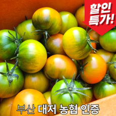 [오늘 특가] 대저토마토 짭짜리 단짠단짠 산지직송, 1개, (M)2.5kg