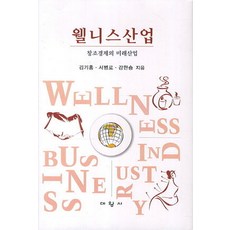 웰니스산업:창조경제의 미래산업, 대왕사, 김기홍 외 지음