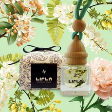 라이플라 차량용 방향제 본품, 레이지브리즈, 1개